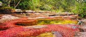 Viaje en Grupo a Colombia • La Colombia Real • Naturaleza