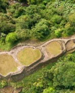 Viaje Organizado a Colombia de Luna de Miel • La Colombia Real • Ciudad Perdida