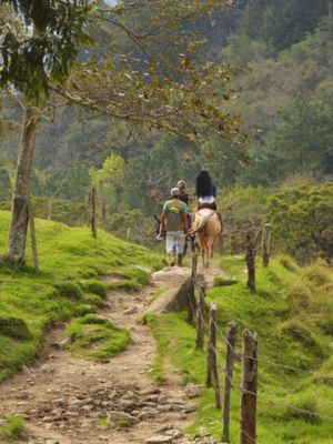 Eje Cafetero Guía Completa para Explorar el Corazón Verde de Colombia • Paseos a Caballo • Agencia de Viajes La Colombia Real