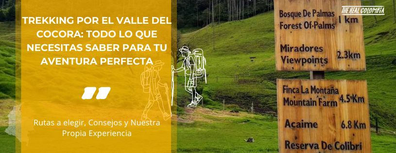 Trekking por el Valle del Cocora todo lo que Necesitas Saber para tu Aventura Perfecta • Rutas, Consejos y Nuestra Experiencia • Hero