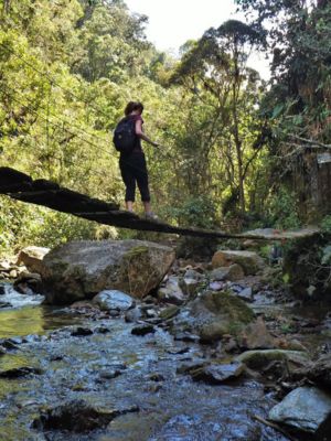 Trekking por el Valle del Cocora todo lo que Necesitas Saber para tu Aventura Perfecta • Puente Rústico